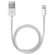Cable Lightning vers USB Apple 0,5m Blanc