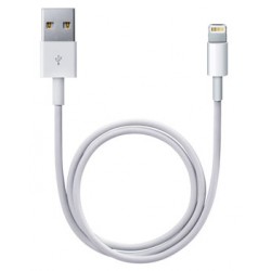 Cable Lightning vers USB Apple 0,5m Blanc