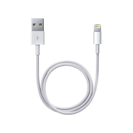 Cable Lightning vers USB Apple 0,5m Blanc