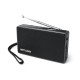 Radio MUSE M030R