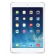 iPad mini 2 Wifi