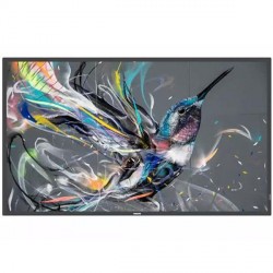 Ecran professionnel / Affichage dynamique PHILIPS SIGNAGE 55BDL3511Q/00